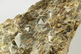 Olive Topazolite Garnet Cluster - Quartzite Mountain, Arizona #188304-2